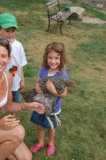 des poules