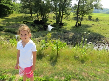 Léa et les vaches