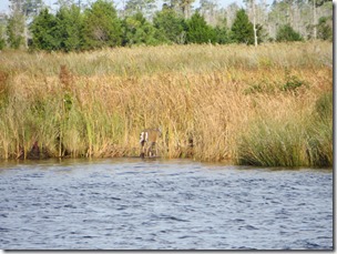 IMG_4377