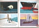 Image (8)