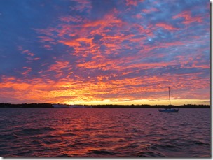 IMG_6635
