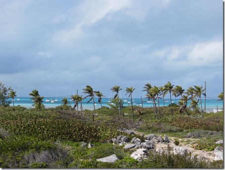 Black Point (24)