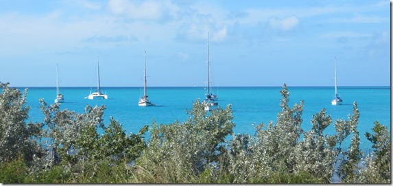Black Point (52)