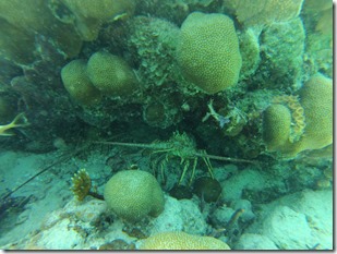 GOPR0028