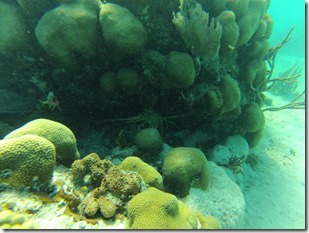 GOPR0029 (2)