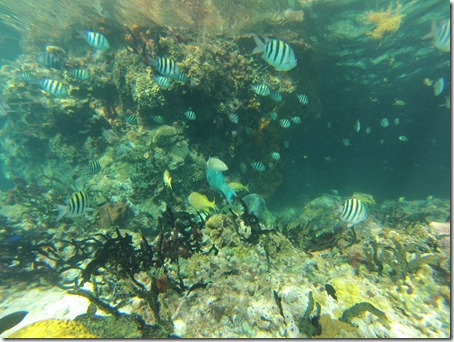 GOPR0066