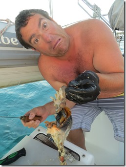 Musha et Rudder Cay (12)