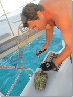 Musha et Rudder Cay (7)