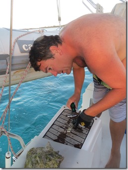Musha et Rudder Cay (8)