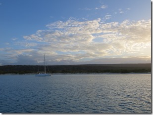 IMG_0964