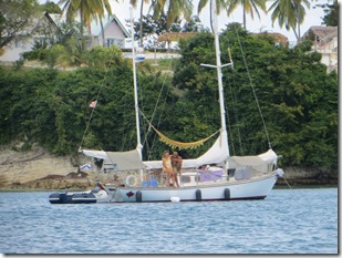 haiti (240)