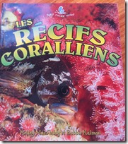 haiti (26)