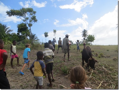 haiti (282)