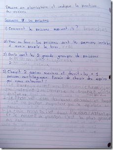 haiti (34)