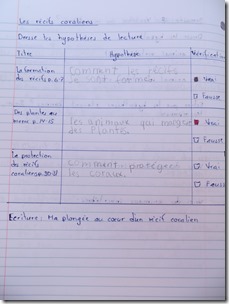 haiti (36)