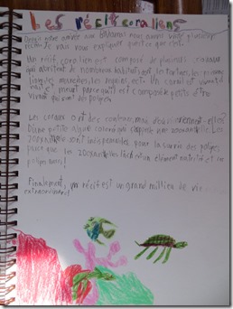 haiti (40)