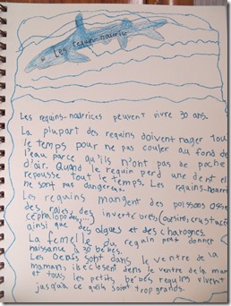 haiti (41)