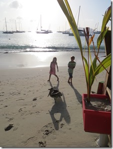 BVI (104)