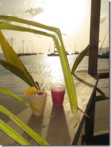 BVI (111)