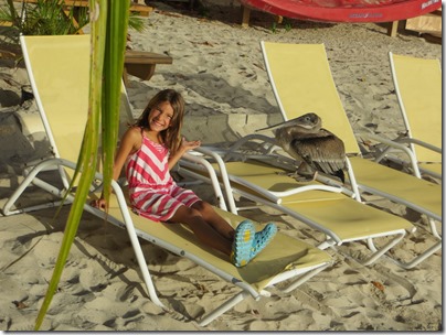BVI (114)