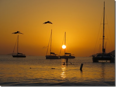 BVI (126)