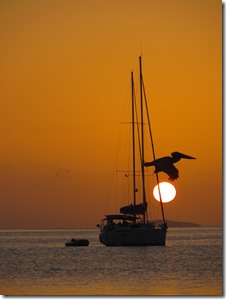 BVI (128)