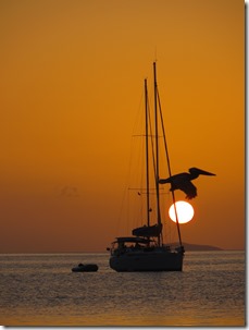 BVI (128)