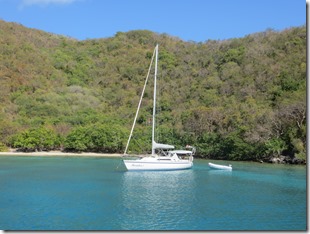 BVI (138)