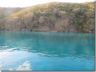 BVI (141)