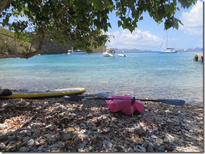 BVI (155)