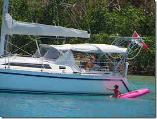 BVI (161)