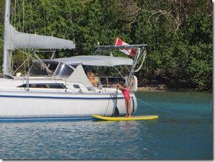 BVI (165)