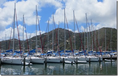 BVI (172)