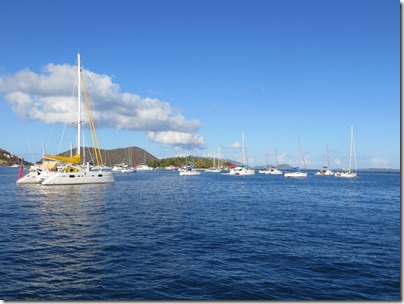 BVI (174)