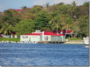 BVI (177)