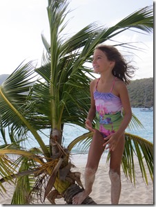 BVI (41)