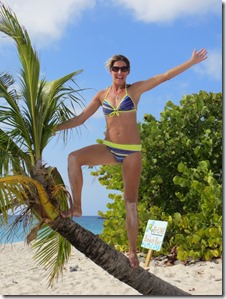BVI (42)