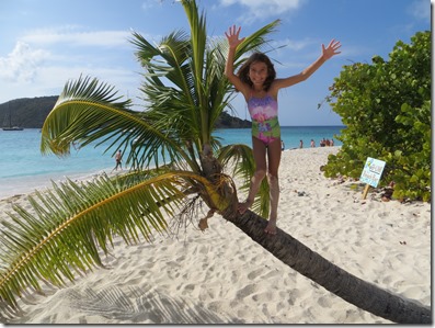 BVI (44)
