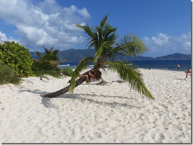 BVI (47)