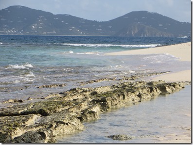 BVI (56)