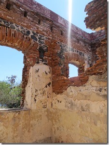 Culebra (233)