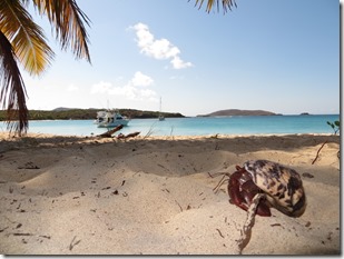 Culebra (277)