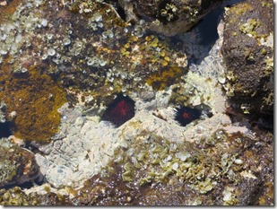 Culebra (287)