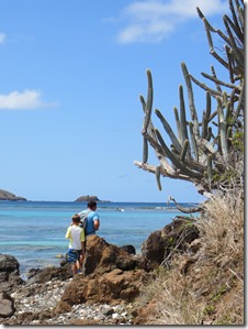 Culebra (328)