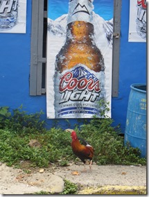 Culebra (53)
