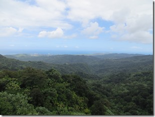 Puerto Rico (100)