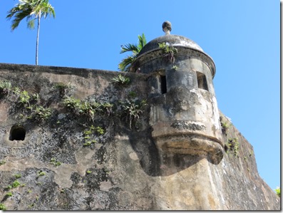 Puerto Rico (130)