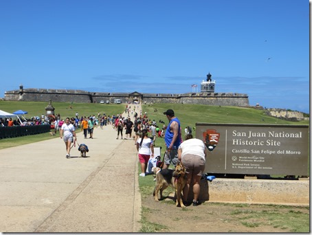 Puerto Rico (174)