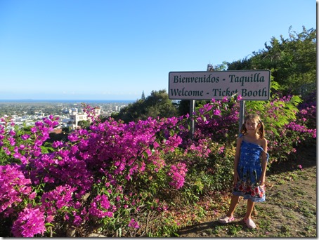 Puerto Rico (42)