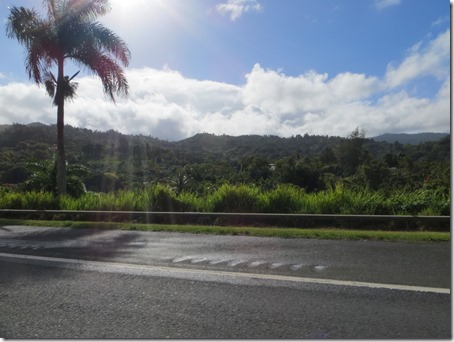 Puerto Rico (58)